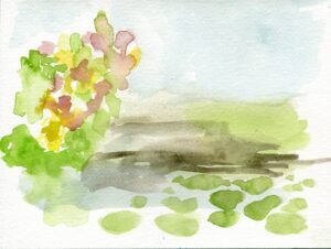 Allison Wade, Caldwell Lily Pool, September 15, 2022