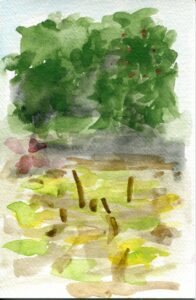 Allison Wade, Caldwell Lily Pool, September 15, 2022