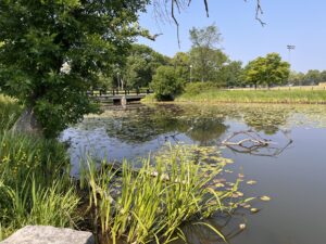 Humboldt Park, June 18, 2023
