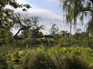 Humboldt Park, August 29, 2023
