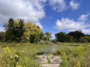 Humboldt Park, September 12, 2023