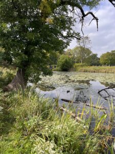 Humboldt Park, September 29, 2023