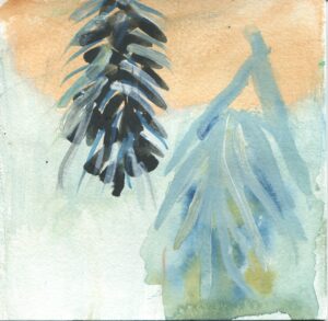 Dee Clements, Garfield Park Conservatory, January 4, 2024