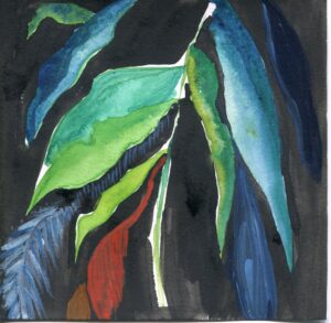 Dee Clements, Garfield Park Conservatory, January 4, 2024