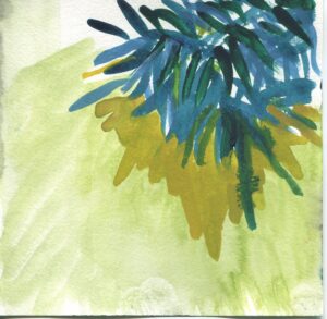 Dee Clements, Garfield Park Conservatory, January 4, 2024