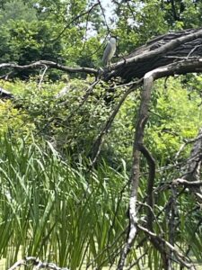 Humboldt Park, May 23, 2024