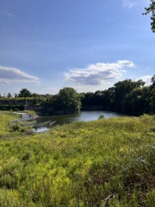 Palmisano Park, June 24, 2024
