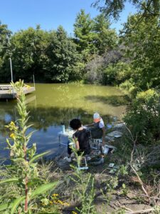 North Pond, Lincoln Park, August 23, 2024