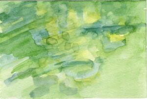 Holly Cahill, North Pond, Lincoln Park, August 23, 2024