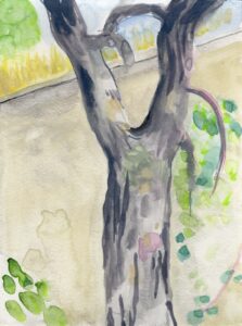 Holly Cahill, North Pond, Lincoln Park, August 23, 2024