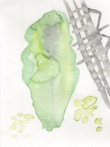 Jennefer Hoffman, Garfield Park Conservatory, January 31, 2025