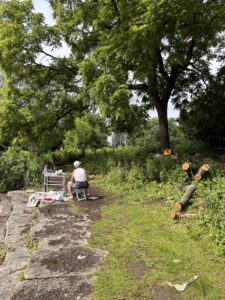 Humboldt Park, June 25, 2025