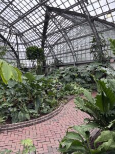 Garfield Park Conservatory, February 6, 2026
