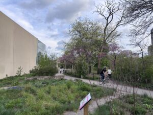 Lincoln Park, April 24, 2026