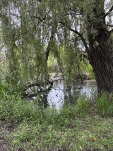 Humboldt Park, May 31, 2026