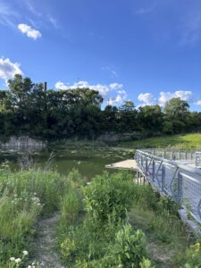 Palmisano Park, June 15, 2026