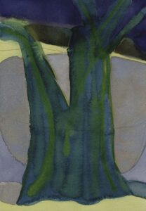 Ann Toebbe, Promontory Point, June 9, 2026
