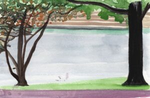 Ann Toebbe, Promontory Point, June 9, 2026