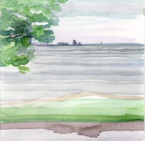 Ann Toebbe, Promontory Point, June 9, 2026